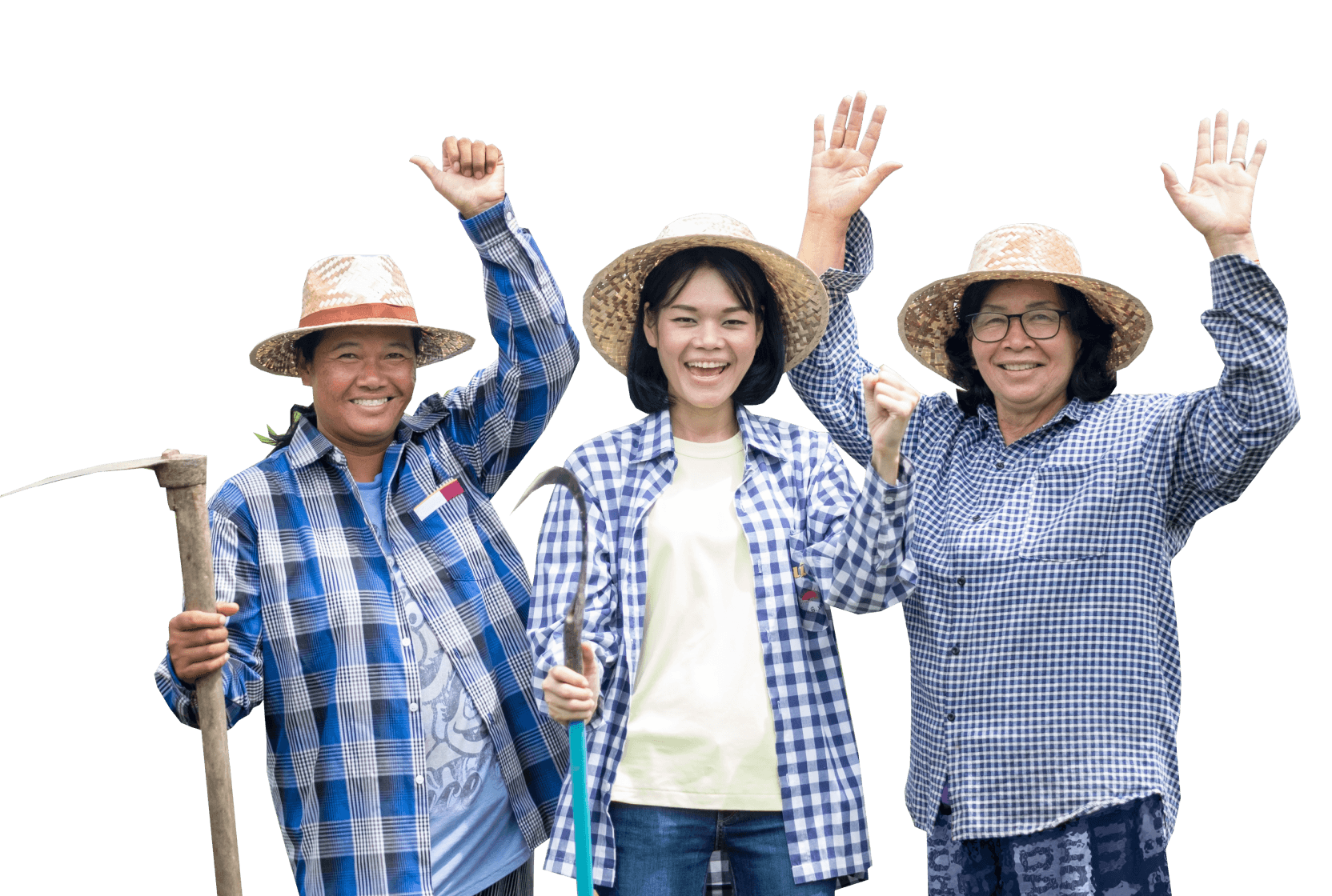 Nông dân Việt Nam trên cánh đồng lúa - Quỹ Tín Dụng Nhân Dân Duy Thanh hỗ trợ vay vốn phát triển nông nghiệp bền vững